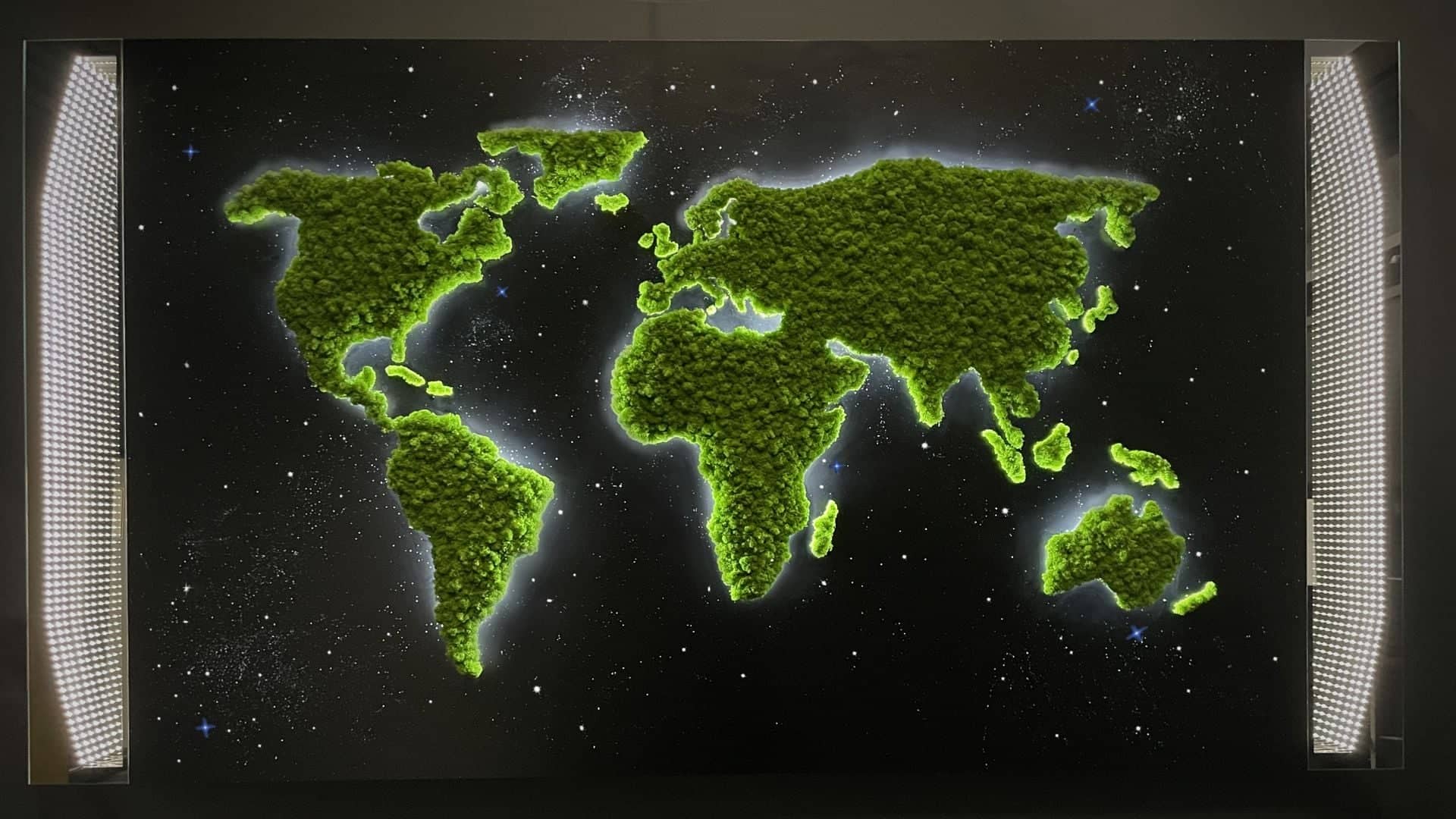 mapa świata z mchu
